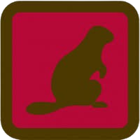 Beavers Scouts program marker