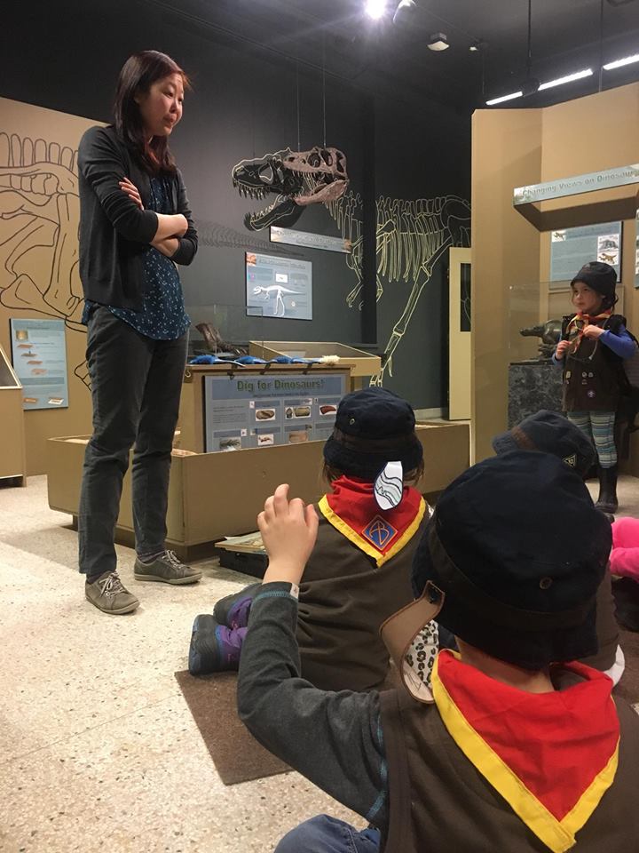 Beavers learning during a museum visit