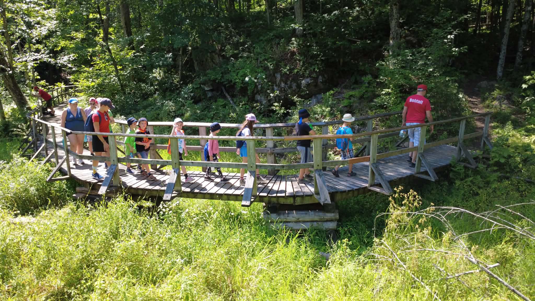 Scouts and Scouters walking together on a wooded trail
